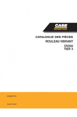 Case DV202 Parts Catalog
