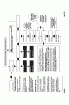 New Holland INTELLISTEER Operator`s Manual